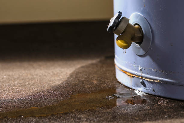 Best Fire Damage Restoration  in Lake Stickney, WA
