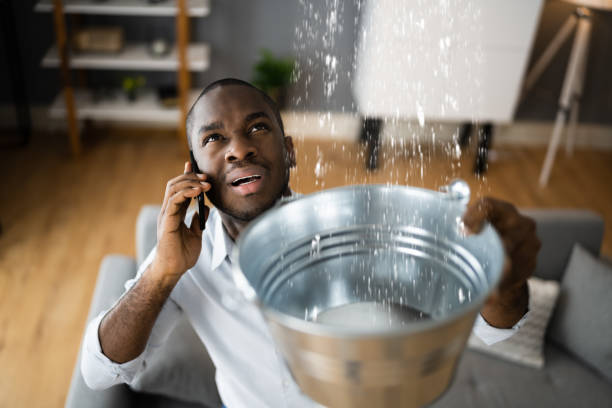 Best Water damage cleanup near me  in Lake Stickney, WA