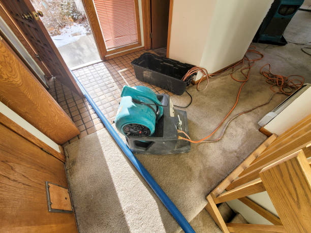 Best Residential water damage restoration  in Lake Stickney, WA