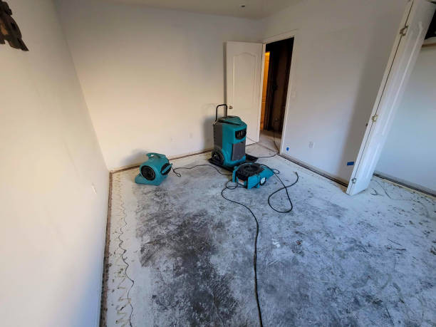 Best Water damage restoration near me  in Lake Stickney, WA