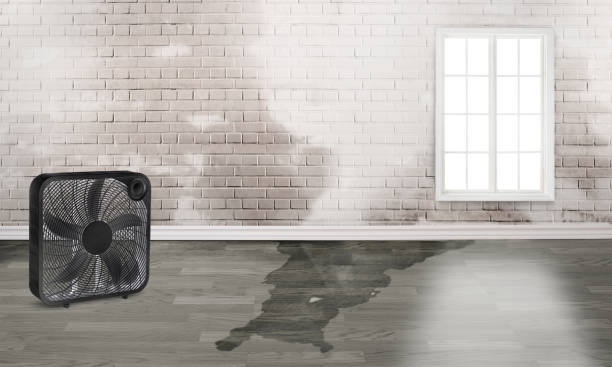  Lake Stickney, WA Water damage restoration Pros