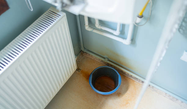 Best Professional water damage repair  in Lake Stickney, WA