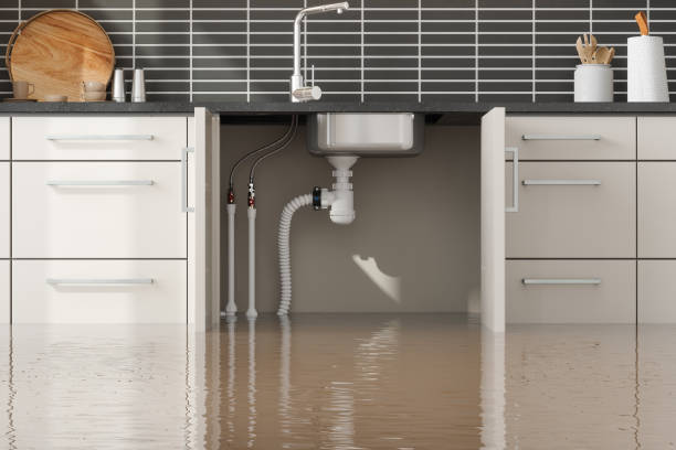 Best Water damage restoration company  in Lake Stickney, WA