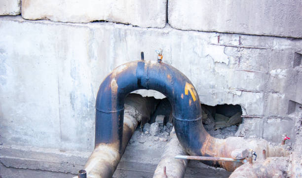 Best Water damage contractors near me  in Lake Stickney, WA