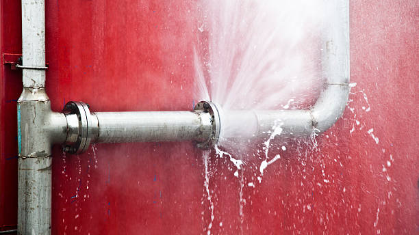 Water damage restoration mold remediation in WA